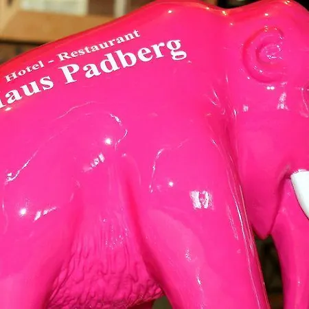Haus Padberg Hotel