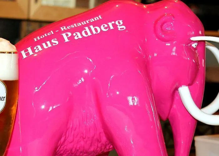 Haus Padberg Hotel